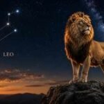 1787953992 leo
