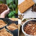 cocopeat