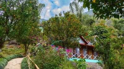 haroon rashids sophian rooftop is filled with varieties of herbs vegetables and fruits