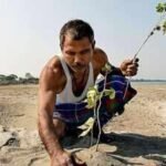 how jadav payengs trees changed the landscape of majuli