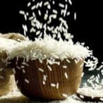 indian rice exports to iran
