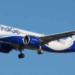 indigo ventures