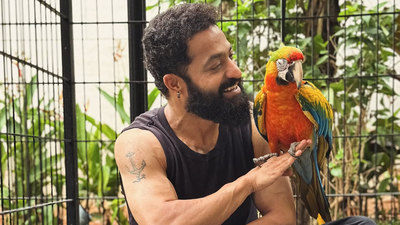 jr ntr health update dragon actor thanks fans after successful surgery says im doing well see you soon