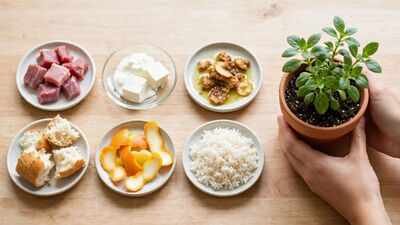 kitchen waste you should never put straight into plant pots 6 scraps that can attract pests and affect soil