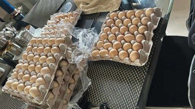 laid off by amazon woman starts chicken farm i have my product the eggs