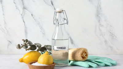 lemon eucalyptus and vinegar