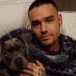 liam payne