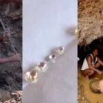 miners at work in panna