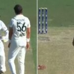 mitchell starc and bangladesh all rounder mehidy hasan miraz