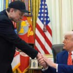 musk and trump