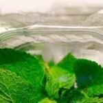 store mint leaves and keep them fresh for longer