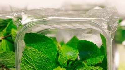 store mint leaves and keep them fresh for longer