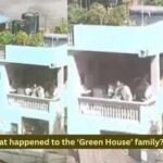 what happened to the green house family