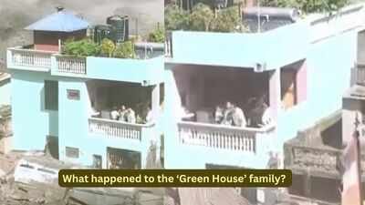 what happened to the green house family