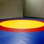wrestling 1108 s