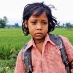 7 year old raginis daily hop to school ended with a bicycle from the dm image credits navbharat times