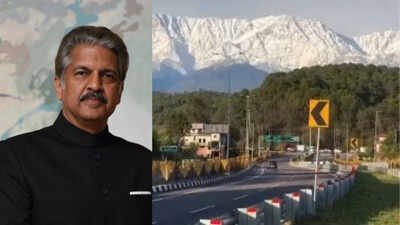 anand mahindra