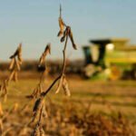 china cuts tariffs on us farm goods