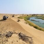 china spent years building a green wall around the taklamakan desert now researchers discover hidden water resources in the layer of sand