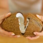coconut opening