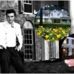 elvis persleys memphis mansion