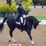 equestrian