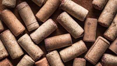 gardeners putting corks in their potted plants
