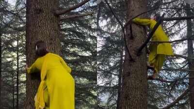 how does she make it look so easy pooja gulerias tree climbing video wins the internet over