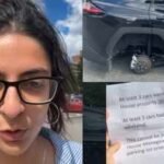 indian woman finds brothers car stripped of all 4 wheels