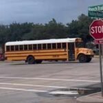 indian woman in us explains school bus rule crossing it can cost up to rs 94490