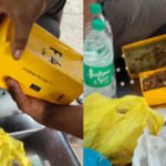 mobile phone box used as tiffin