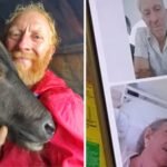 peter van geit recounts his six year legal battle in an instagram post