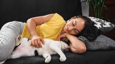 sleeping with your pet does not mean youre anxious it may be about feeling safe loved and emotionally secure