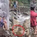 snake at amboli