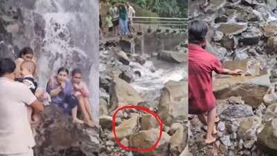 snake at amboli