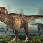 t rex wasnt always running scientists found 66 million years old the first ever footprints of a fully grown t rex and they reveal how it really moved
