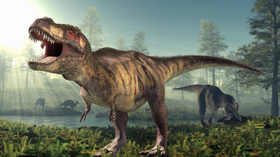 t rex wasnt always running scientists found 66 million years old the first ever footprints of a fully grown t rex and they reveal how it really moved