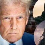 trump hollywood