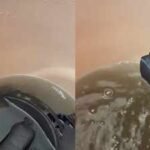 viral video shows how dirty helmet padding gets easy steps to clean them without hassle