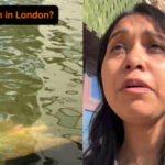 visarjan in london