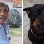 why this jaipur kulfi seller is making special sugar free kulfi just for dogs