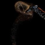 72 year old vaidehi chandrasekar won gold at the 2026 world nature photography award for clicking a giraffe expelling a perfect arc of water after drinking in botswana