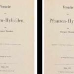 a monk printed 40 copies of his pea plant research which sold for rs 610 crore in 2026