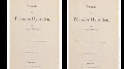a monk printed 40 copies of his pea plant research which sold for rs 610 crore in 2026