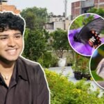aman sharmas delhi terrace has more than 500 plants and attracts diverse wildlife