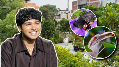 aman sharmas delhi terrace has more than 500 plants and attracts diverse wildlife