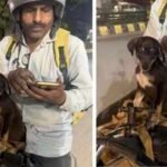 blinkit delivery riders rescue injured puppy after road accident give it a home at warehouse internet says this is so precious