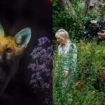 bristol womans garden