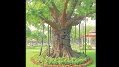 chained banyan tree