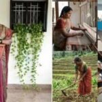 chennai activist premas trust is helping abandoned women widows and cancer patients find support image credits gemini